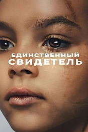 Постер к  Единственный свидетель